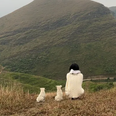 Mỹ Huyền 🧸ྀིྀི profile