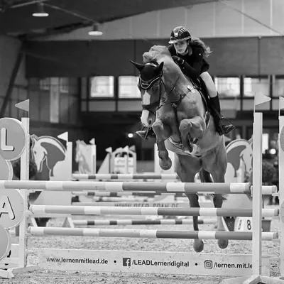 Mia Dehn 🇩🇪Show jumper🇩🇪 profile