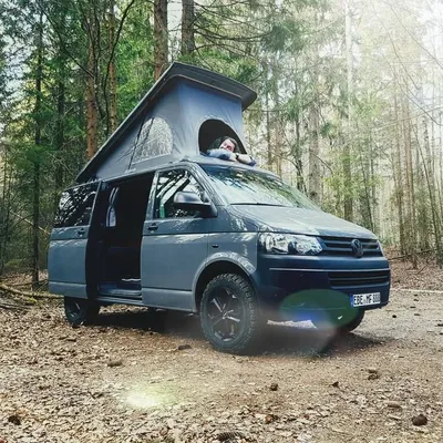 ↟ ๓เςђคєl ↟ | Germany 🏕 profile