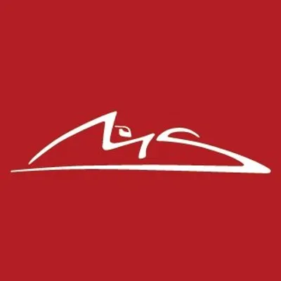 Michael Schumacher profile
