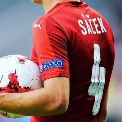 Michal Sáček profile