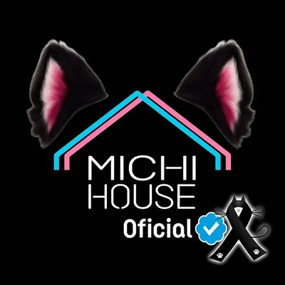 Michi house oficial profile