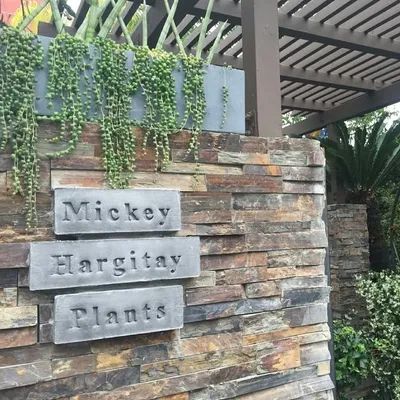 Mickey Hargitay Plants profile