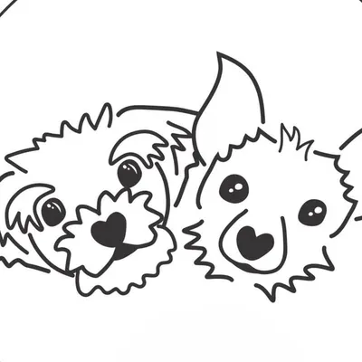Simba "שמחה" & Pippin "פונפון" & Jodie profile