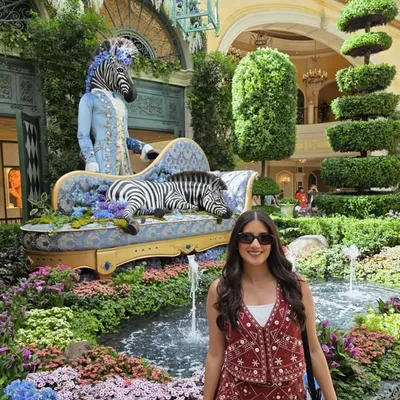 Michelle Rivera Villegas profile