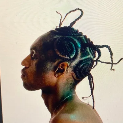 Mikano 🐬 profile
