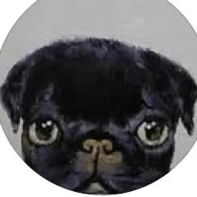 Mike Sinclair profile