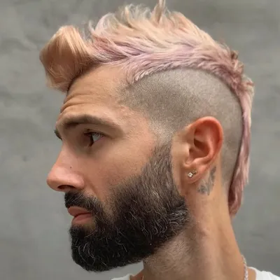 Mike Adam profile