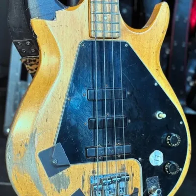 Mike Dirnt profile