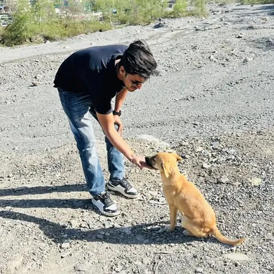 Mohit Rathor profile