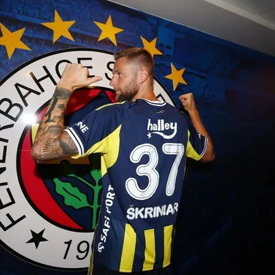 🇸🇰Milan Škriniar profile