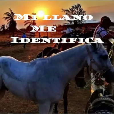 MI LLANO ME IDENTIFICA profile