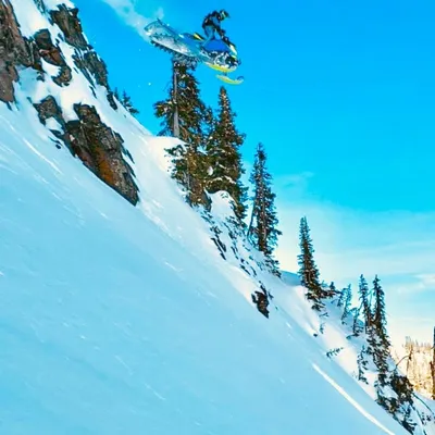 Brendon Miller profile