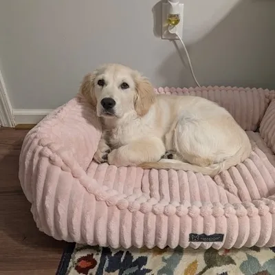 Millie profile
