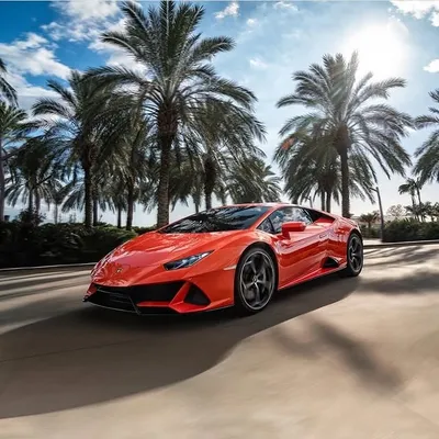 Millionaire Lifestyle profile