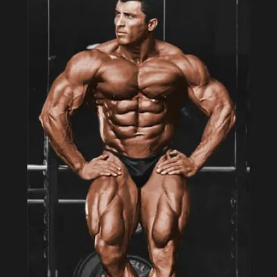 Milos Sarcev profile