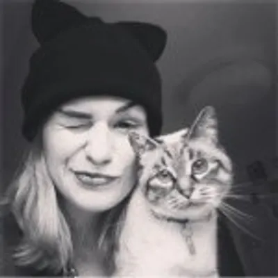 Кошки И Котики🐾 Мурр-мяу profile