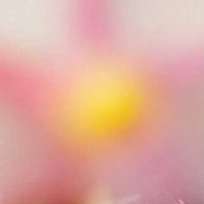 Minami Gessel profile