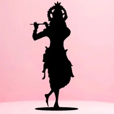 T A N U J R O H I L L A profile