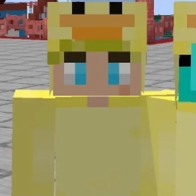 Minecraft Content profile