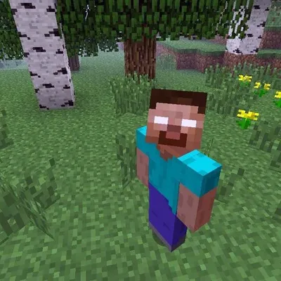 minecraftbrasil profile