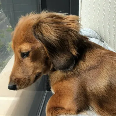๐ด๐๐๐๐ ๐ธ profile