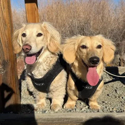Charlie & Wilbur profile