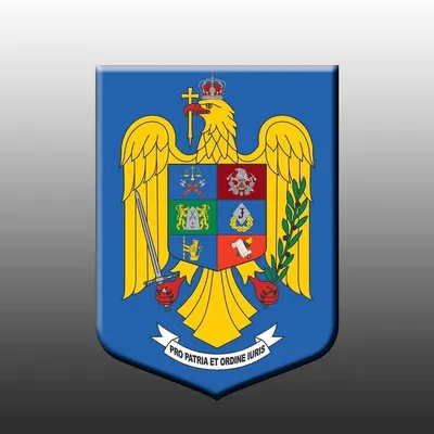 Ministerul Afacerilor Interne profile