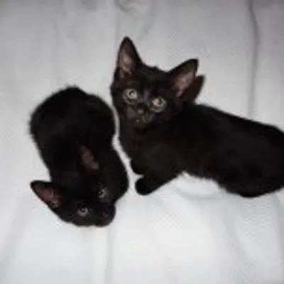 MinnieandMarvin profile