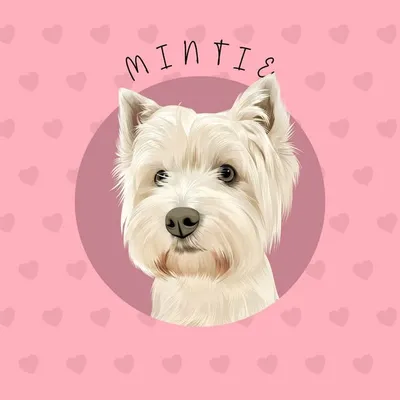 Mintie ๐พ profile