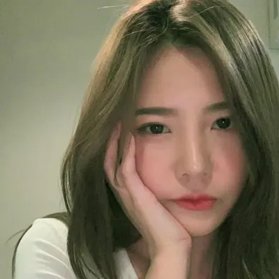 ʕっ•ᴥ•ʔっ profile