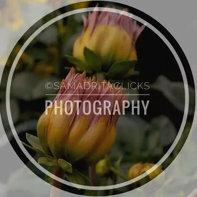 Samadrita Das/India profile