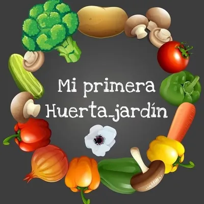 Ruth✨ Mi Primera Huerta_Jardín profile