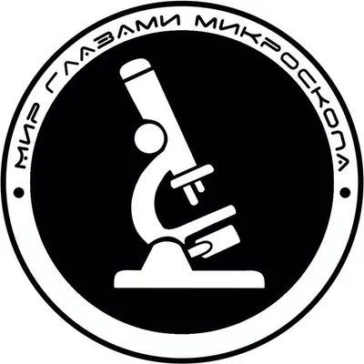 МИР ГЛАЗАМИ МИКРОСКОПА profile