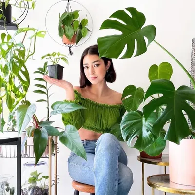 Chiara 👩🏻 Mira Mis Plantas 🪴 profile