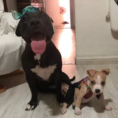 Miriam Y Sergio profile