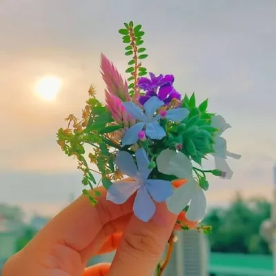 itz_sona_Baabu🥰 profile