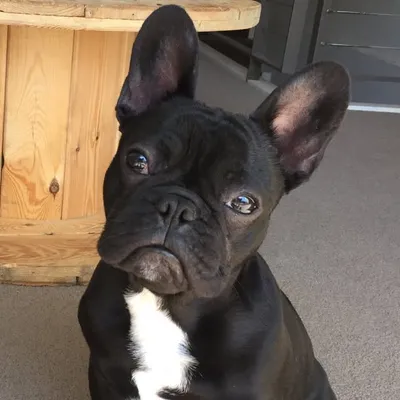 Lenny profile