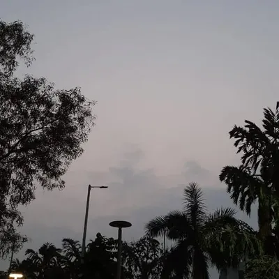 Mitali Kantharia profile