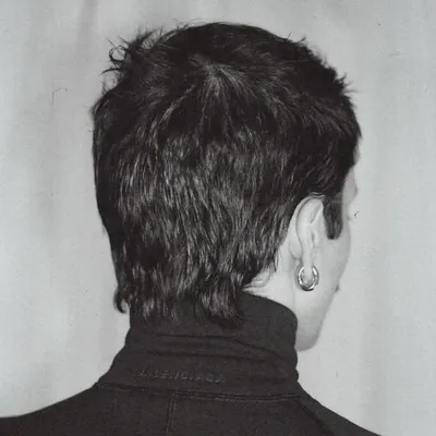 Mitch Grassi profile