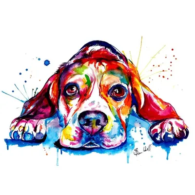 @MJ_The_Beagle Backup profile