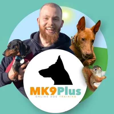 Max Randall | From MK9Plus.com profile