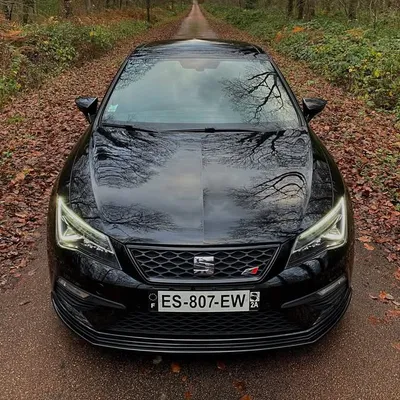 ♨️ ML_Carske ♨️ profile