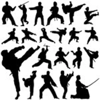 MMA History Today profile