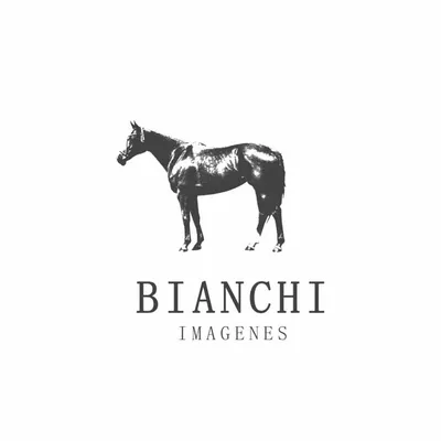 Marcelo Bianchi profile