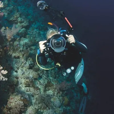 Marine and Natural History profile
