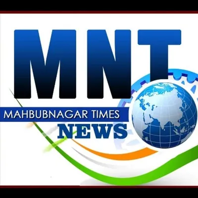 MNT News profile