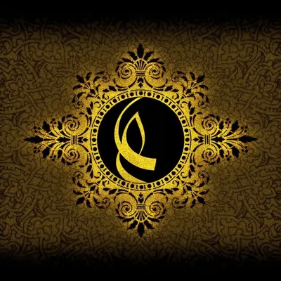 سیر و سلوک علوی profile