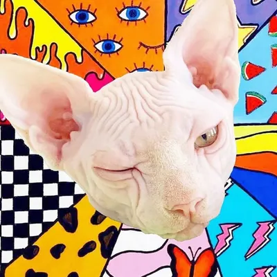 Fashion Cat Mochi profile