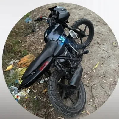 Panther ๐๐ profile